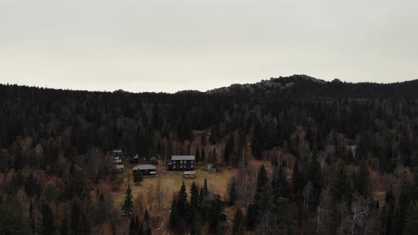 Aerial View of the Autumn Coniferous Forest Near the Top of the Mountain