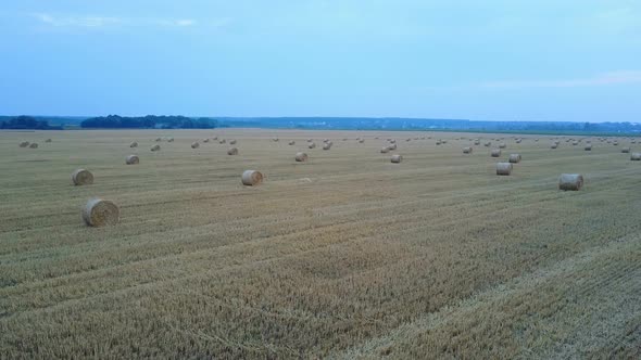 Aerial View Of Harvest Field