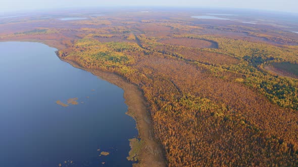 Aerial Top View of Beautiful Lake Surrounded By Colorful Forest in Autumn