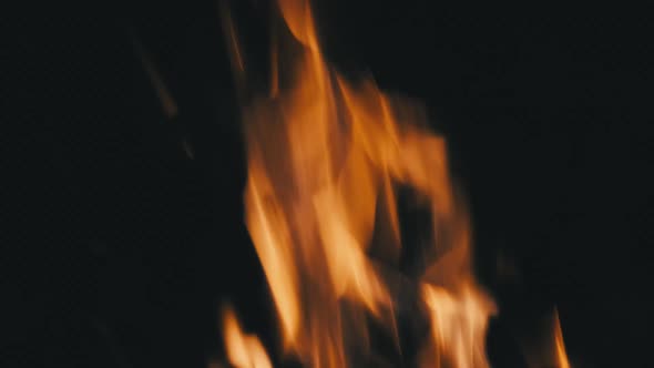 Fire Flames on a Black Background. Bonfire Burning at Night. Slow Motion