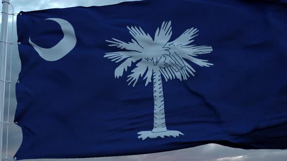 Flag of South Carolina Waving in the Wind Against Deep Beautiful Clouds Sky