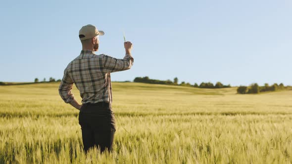 A Young Farmer is Standing in the Middle of a Wheat Field