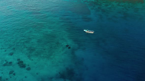 A pair of Manta Rays swimming by a boat - aerial