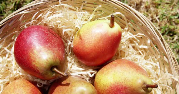 Close up of eight pears