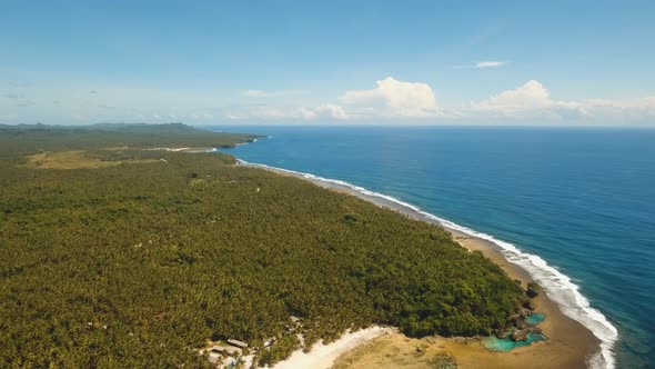 Coast of Tropical Island