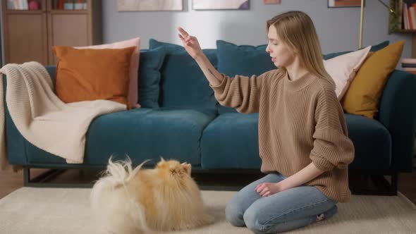 Woman is Training Pomeranian Dog Sitting on the Floor