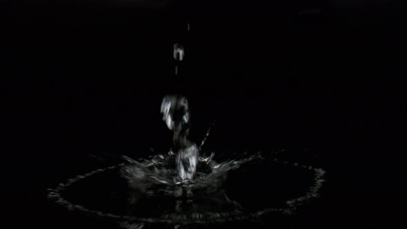 Water drops on black surface against black background. Slow Motion.