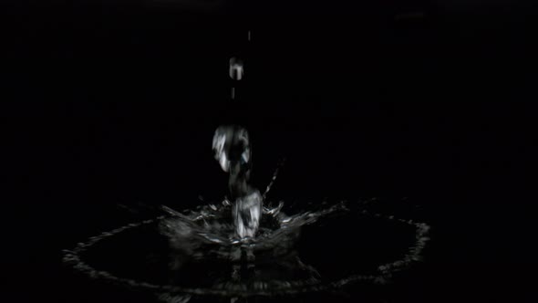 Water drops on black surface against black background. Slow Motion. alt
