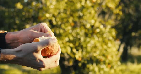 Hand is Peeling an Orange Fruit in the Countryside in the Nature