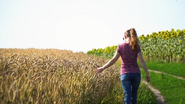 Woman Walking Across The Field With Wheat in the Evening