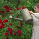 Woman With Watering Can In Garden - VideoHive Item for Sale