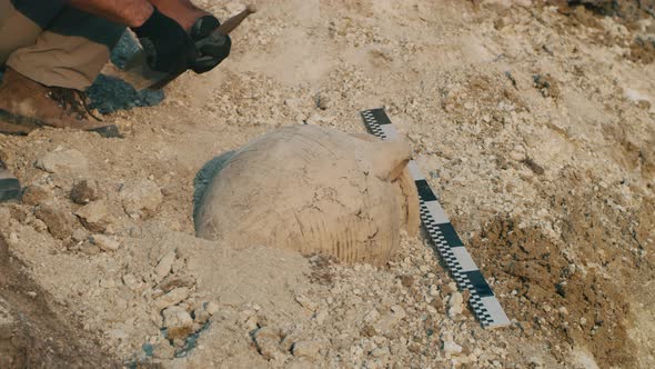 Crop Man Excavating Old Vase