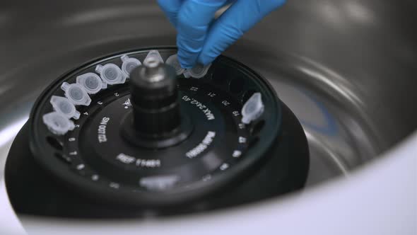 Scientist Puts Microcentrifuge Tubes Into Centrifuge for Phase Separation