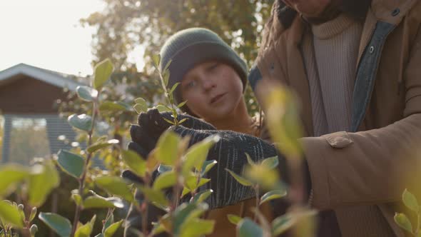 Teenage Boy Watching Grandfather Gardening