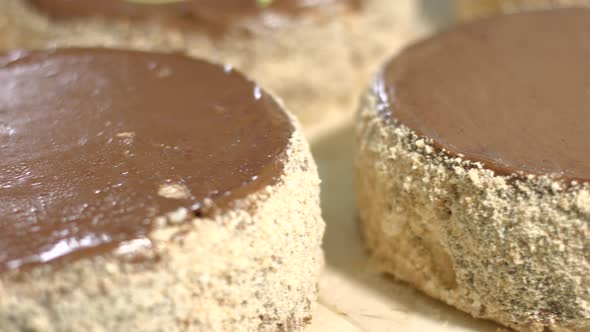 Blank Cakes with Chocolate Top