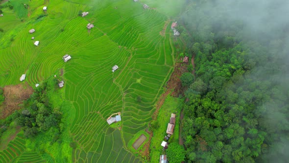 An aerial view over the beautiful rice terraces