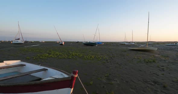 Ares, Gironde, Nouvelle Aquitaine, France. Salicornia growing during the low tide.