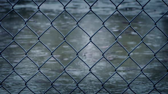 Wire Fence In Rainfall