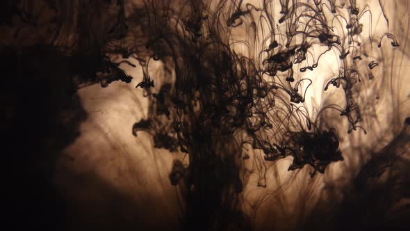 Black Ink Clots Fall and Dissolve in Water alt