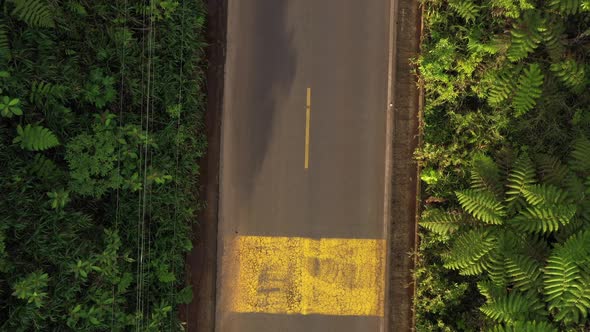 Top view asphalt, one lane road with yellow lines in a tropical country in South America