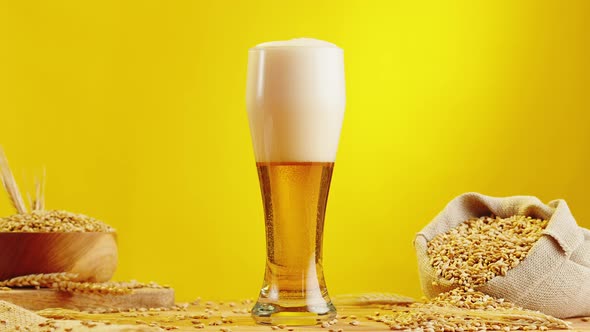 Foamy Beer in Glass Closeup