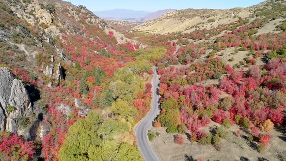 Flying over road cutting a path through colorful forest in Utah