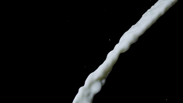 Milk Jet Pouring with Beautiful Splashes Isolated on Black Backdrop Copy Space