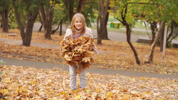 Cheerful and Sweet Little Girl Collects Fallen Autumn Leaves and Tosses