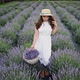 Confident and Smiling Young Caucasian Woman on Summer Dress on a Hat Holding a Basket of Lavender - VideoHive Item for Sale