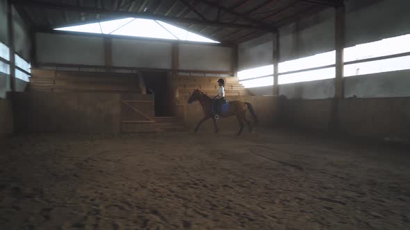 Woman Rider Trains Riding a Horse in a Covered Hangar, Female Rides a Horse, Beautiful Light View