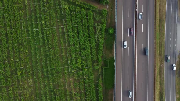 Aerial View Of The Highway