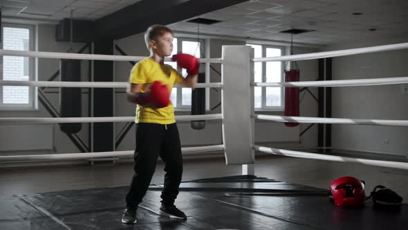 Little Boy in Boxing Gloves Standing on the Ring and Performing a Shadow Boxing