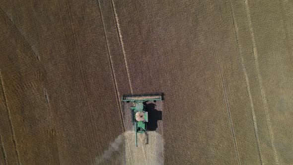 Large combine harvester harvesting a wheat field. Aerial top down view