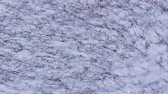 Metal shavings moving around from magnet alt