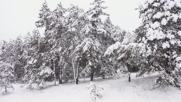 Winter Park in Snow in Cloudy Weather