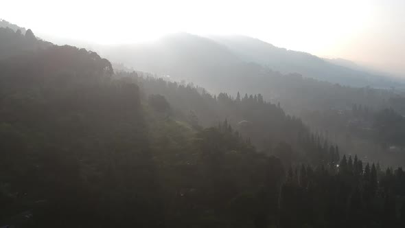 Pangrango Mountain, Indonesia