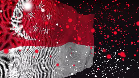 Singapore Flag Particle Animation