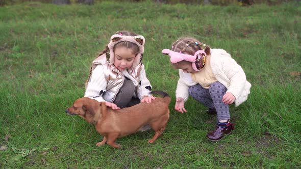 Two Little Girls are Playing with Their Dog