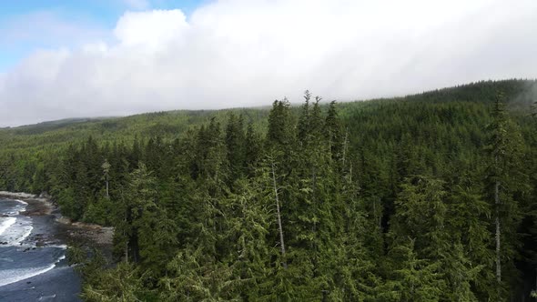 4k aerial footage of Sombrio beach on Vancouver Island's wild and untouched west coast. Panning and