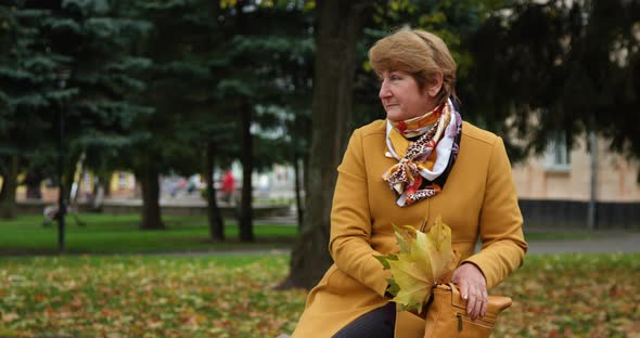 Senior Lady Walks in the Park Holding Yellow Leaves. Late Autumn Europe