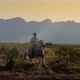 A horse ride cowboy in the valley - VideoHive Item for Sale