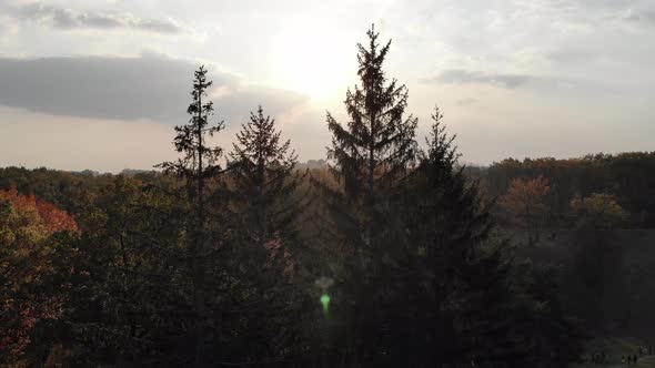 Beautiful Autumn Footage of the City Park