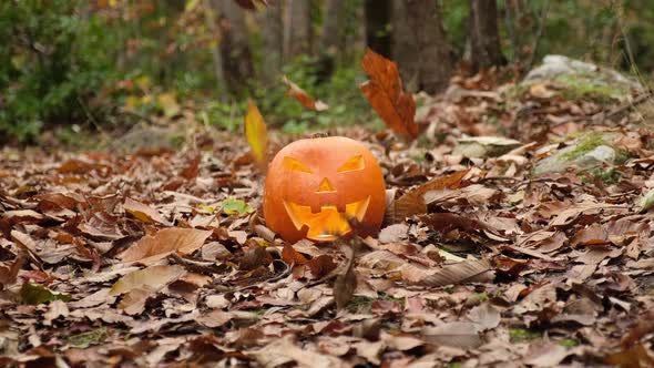 Autumn Foliage Falling on Halloween Pumpkin