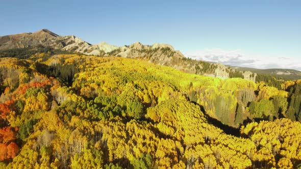 Fall colors in Crested Butte, Colorado