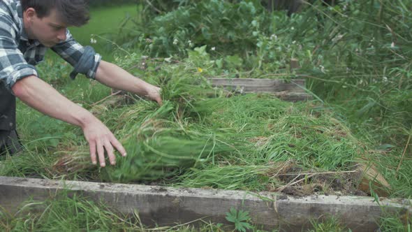 Young male gardener spreading mulch over raised garden bed