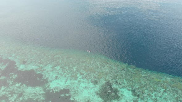 Aerial: people snorkeling on coral reef tropical caribbean sea Indonesia