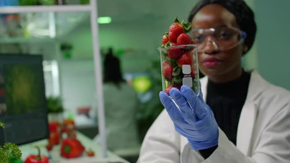 African Researcher Holding Glas with Strawberry Injected with Pesticides