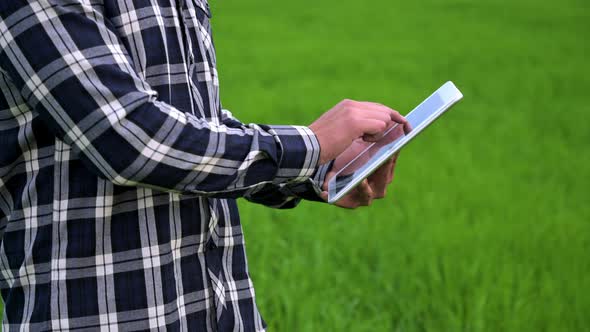 Close Up of a Farmer Man Read or Analysis a Report in Tablet Computer on a Green Agriculture Field