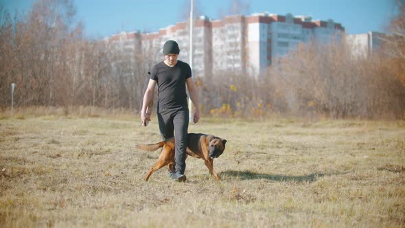 A Man Training His German Shepherd Dog - the Dog Walking Between the Trainer Legs