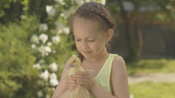 Close-up Portrait of Cute Caucasian Girl Holding Yellow Duckling and Smiling at Camera. Happy Pretty